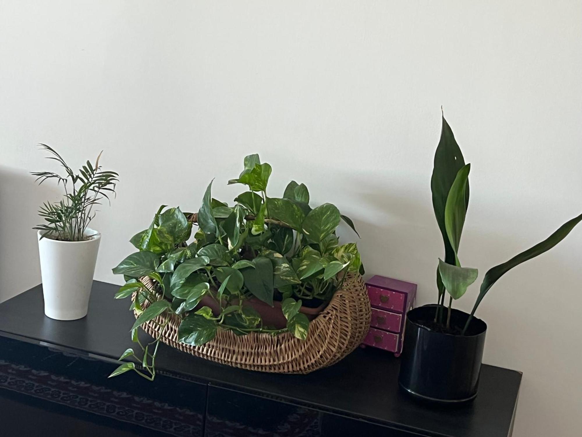 Apartamento Friends And Family Brescia Exterior foto
